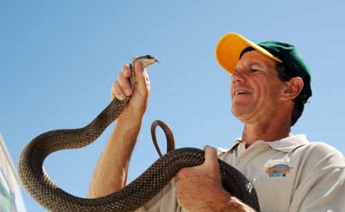 Steven McEwen says snakes are on the move in increasing numbers across the Coffs Coast at this time of year – during the day and at night. Steven McEwen says snakes are on the move in increasing numbers across the Coffs Coast at this time of year – during the day and at night.